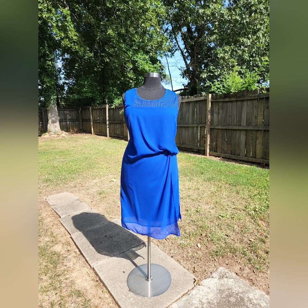 Royal Blue Dress with Mesh Detail and Sheer Overlay